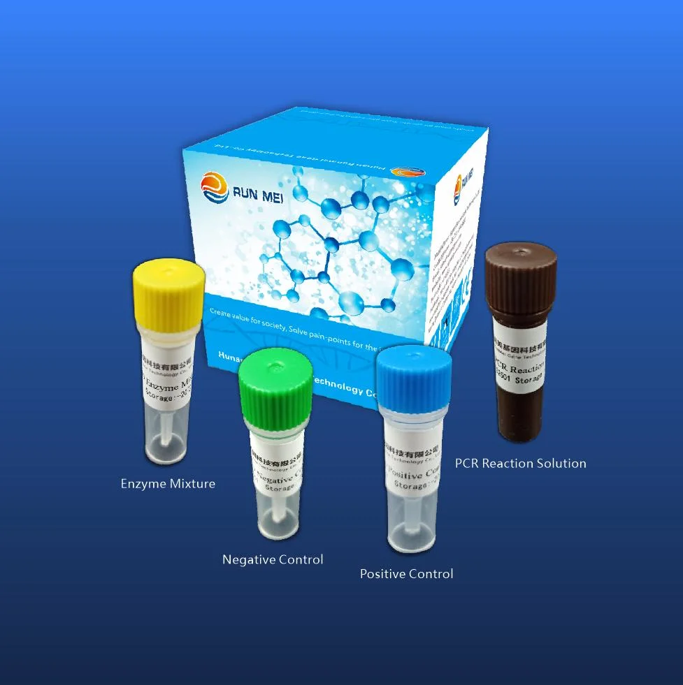 Mv Process Control Nucleic Acid Detection Kit (fluorescence PCR method)